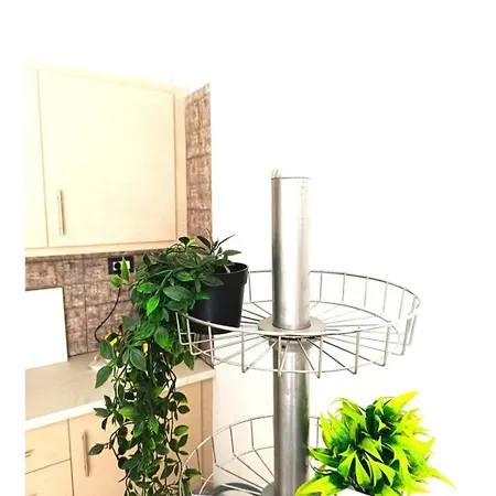 ειδικη προσφορα * パトラ